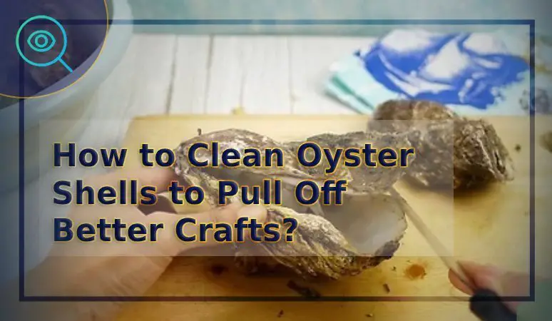 How to Clean Oyster Shells