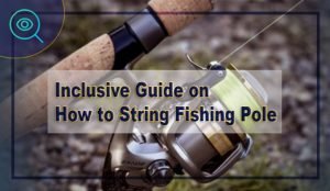 How to String a Fishing Pole Effectively - 8 Influential Guides ...