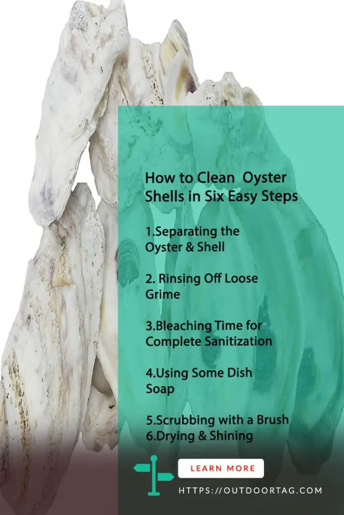 How to Clean Oyster Shells