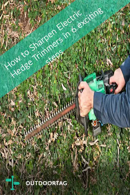 sharpening electric hedge trimmers