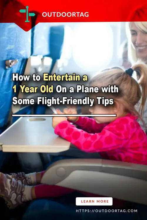 How to Entertain a 1 Year Old On a Plane with Some Flight-Friendly Tips.