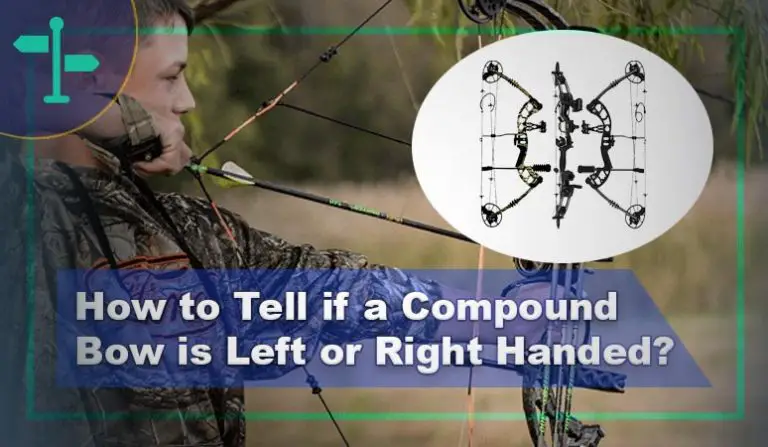 How To Tell If A Compound Bow Is Left Or Right Handed Outdoortag