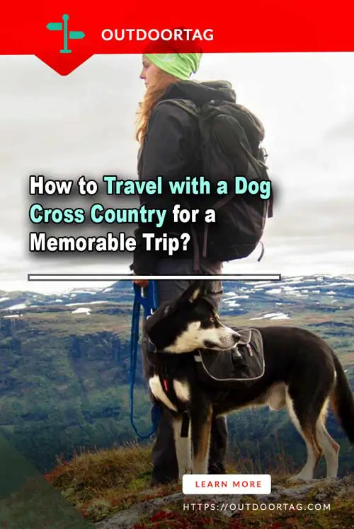 How to Travel with a Dog Cross Country for a Memorable Trip