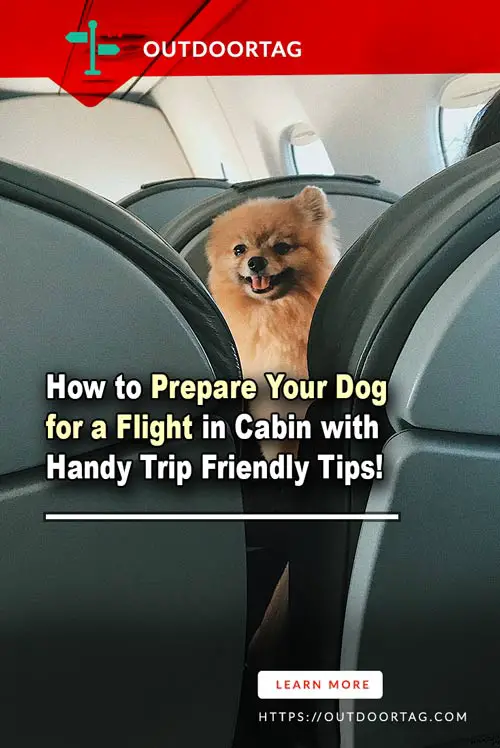 How to Prepare Your Dog for a Flight in Cabin with Handy Trip Friendly Tips.