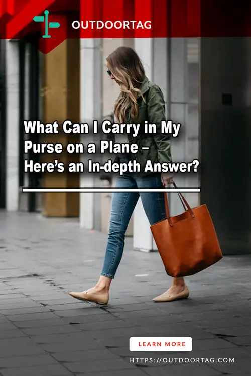 what can i carry in my purse on a plane