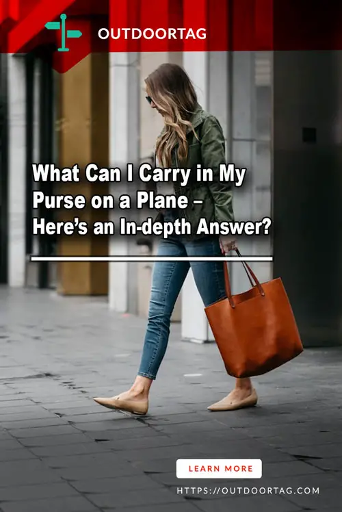 What Can I Carry in My Purse on a Plane – an In-depth Answer