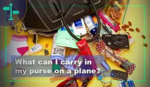 What Can I Carry in My Purse on a Plane