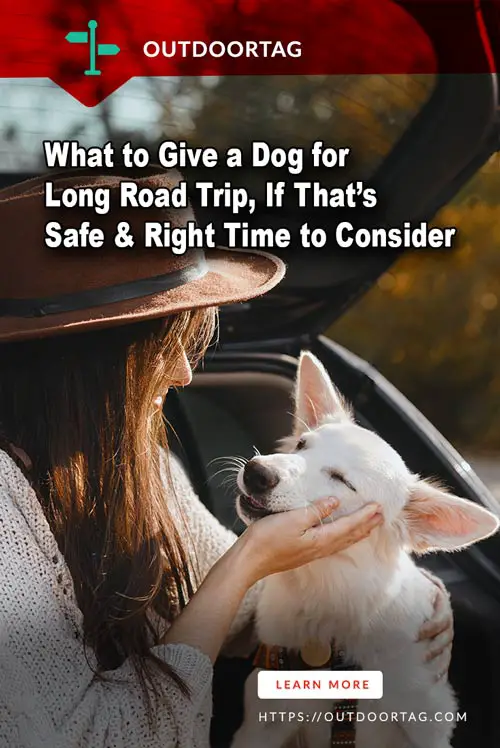 What to Give a Dog for Long Road Trip, If That’s Safe & Right Time to Consider.