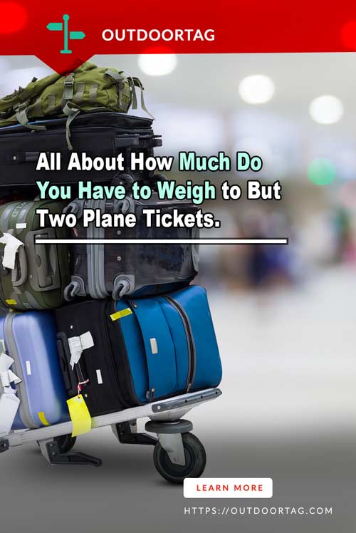 How Much Do You Have to Weigh to But Two Plane Tickets.