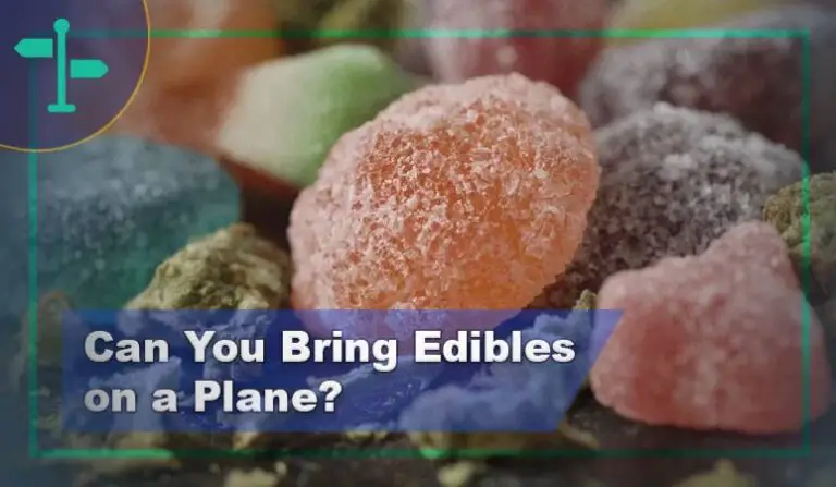 Can You Bring Weed Edibles on a Plane in 2022? - Tips & Tricks