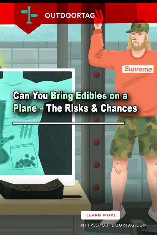 Can You Bring Edibles on a Plane – The Risks & Chances