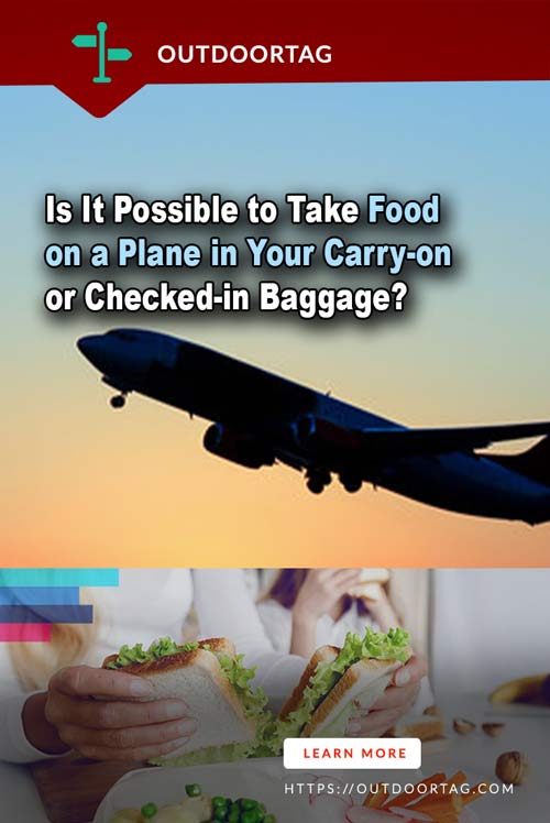 Is It Possible to Take Food on a Plane in Your Carry-on or Checked-in Baggage?