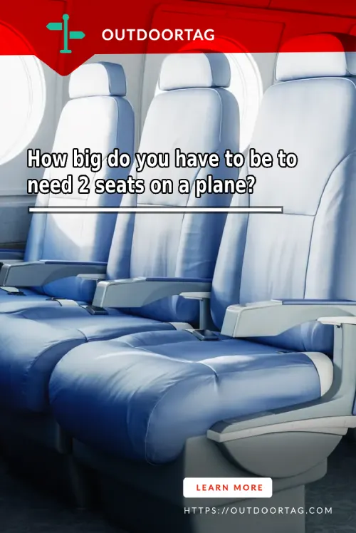 How big do you have to be to need 2 seats on a plane