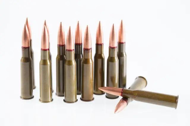 308 Winchester rifle ammo