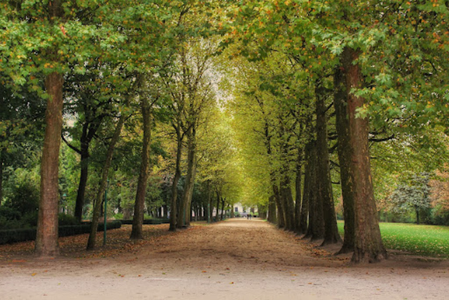 a beautiful park in Brussels